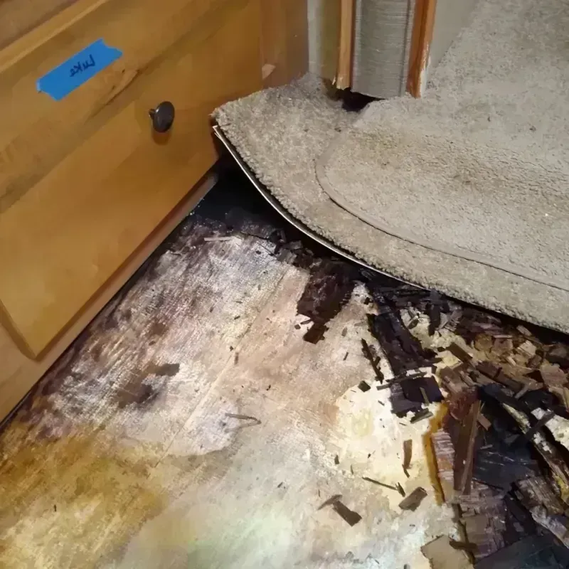 Wood Floor Water Damage in Jim Wells County, TX